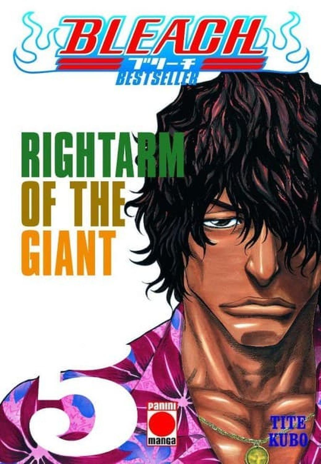 Manga Bleach 05 - España-0