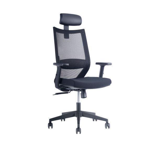 Silla Ejecutiva Lena: Bienestar y Estilo en Casa-0