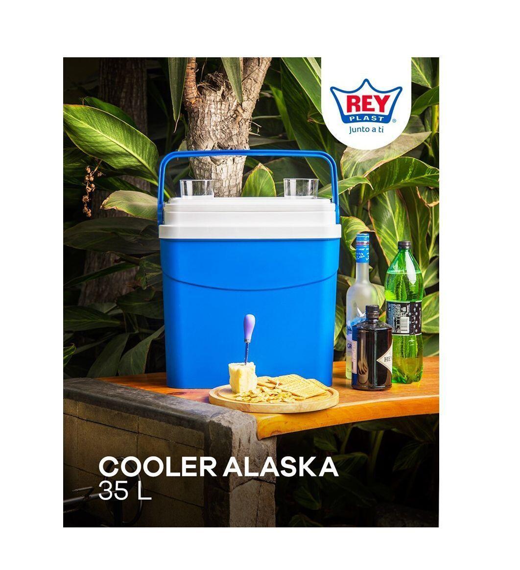 Cooler Nevera Cava Hielera Portátil 35 L-5