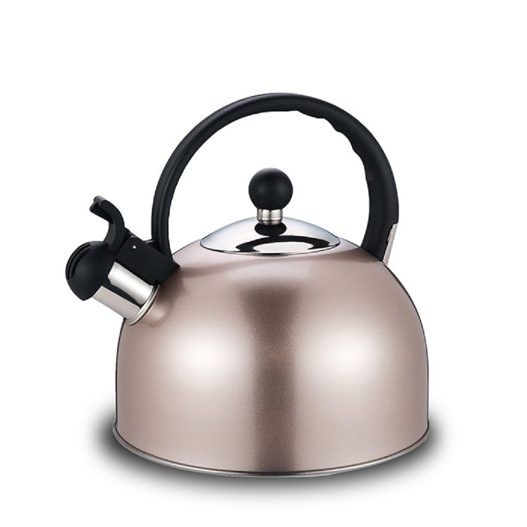 Tetera Acero inoxidable 3 litros con Silbato Color-0