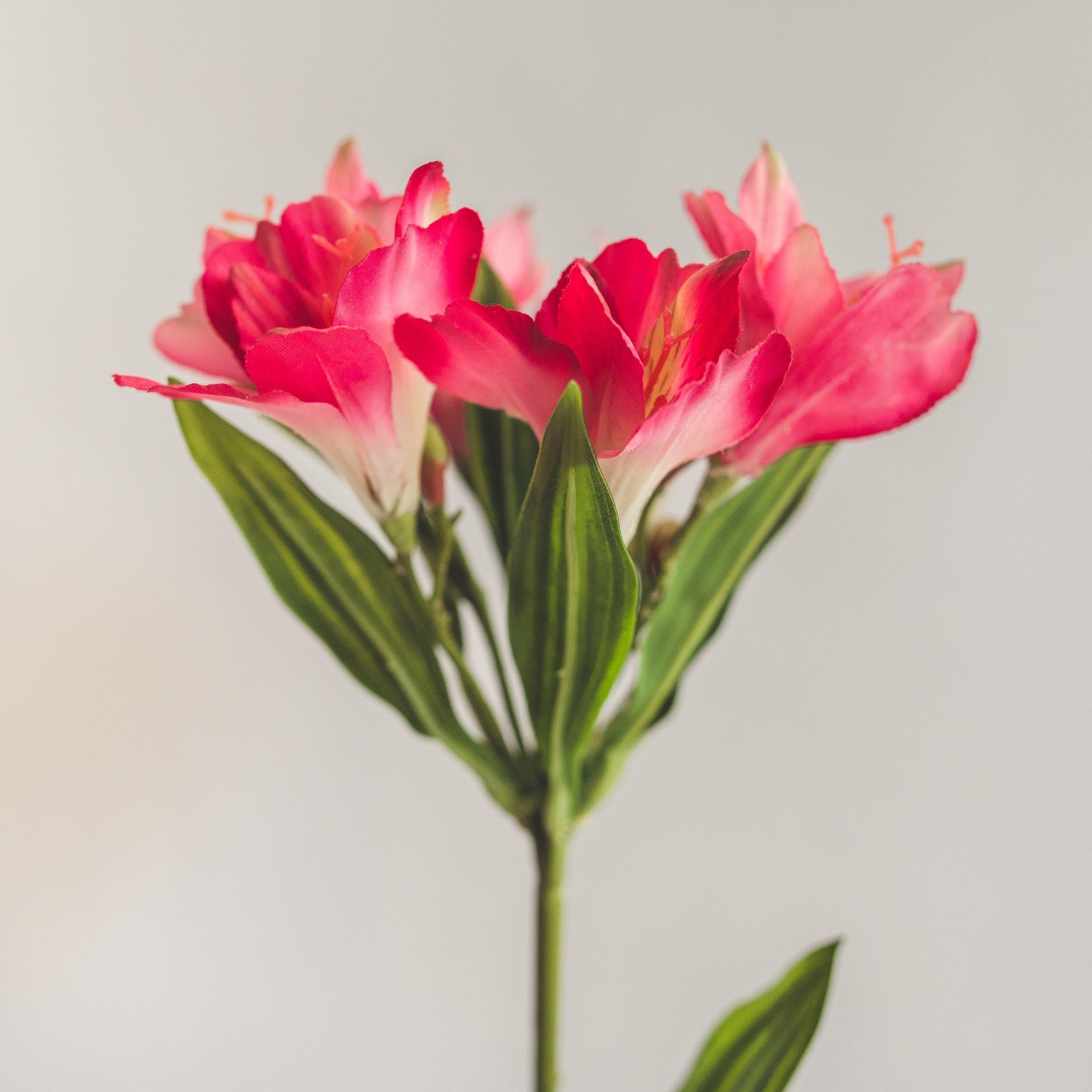 Astromelia Fucsia Flor Artificial by Le Bouquet 60 cm-2
