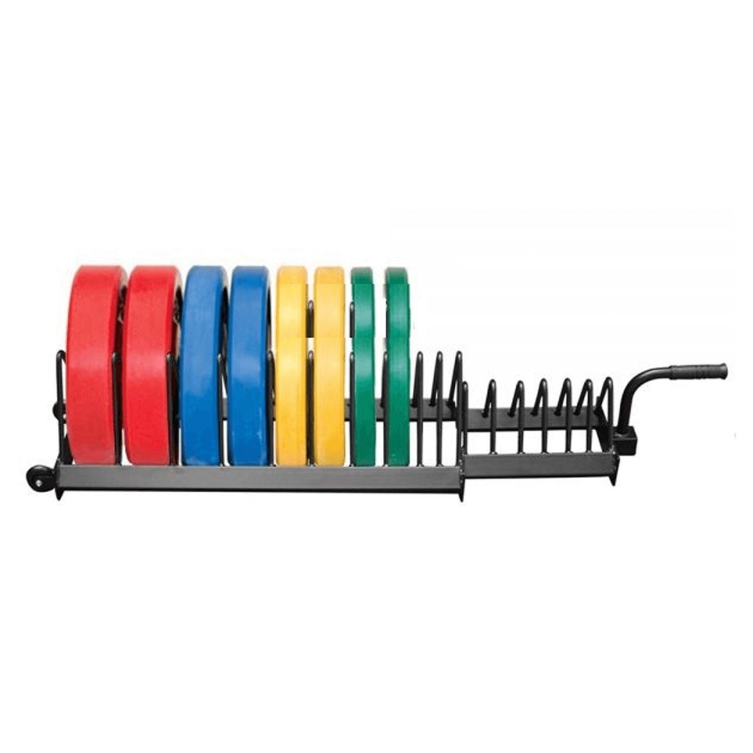 Rack Discos Bumper-1