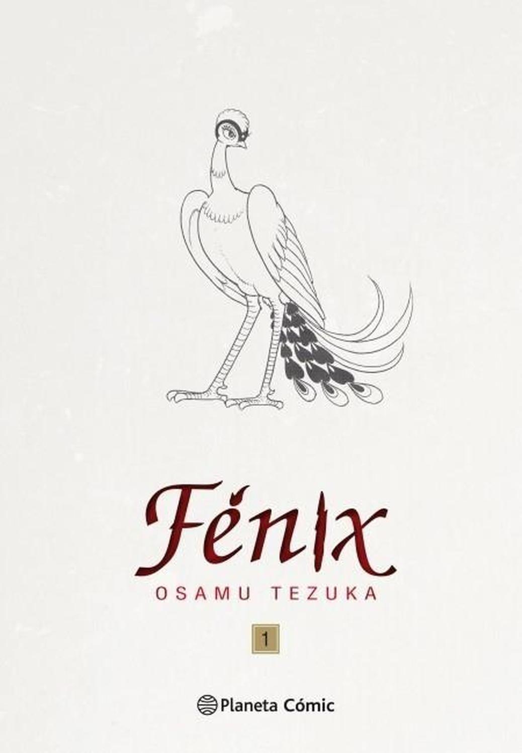 Manga Fénix 01 - España-0