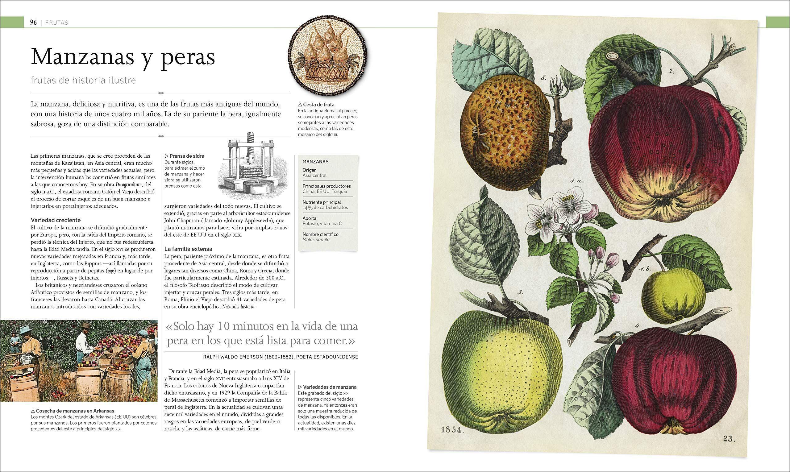 Dk Enciclopedia Alimentos Del Mundo-2