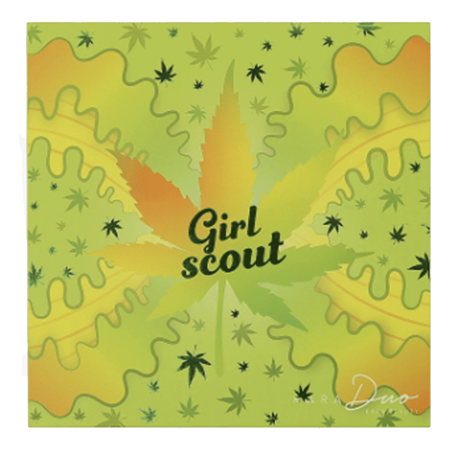 Paleta de sombras «Girl Scout» Kara Duo-2