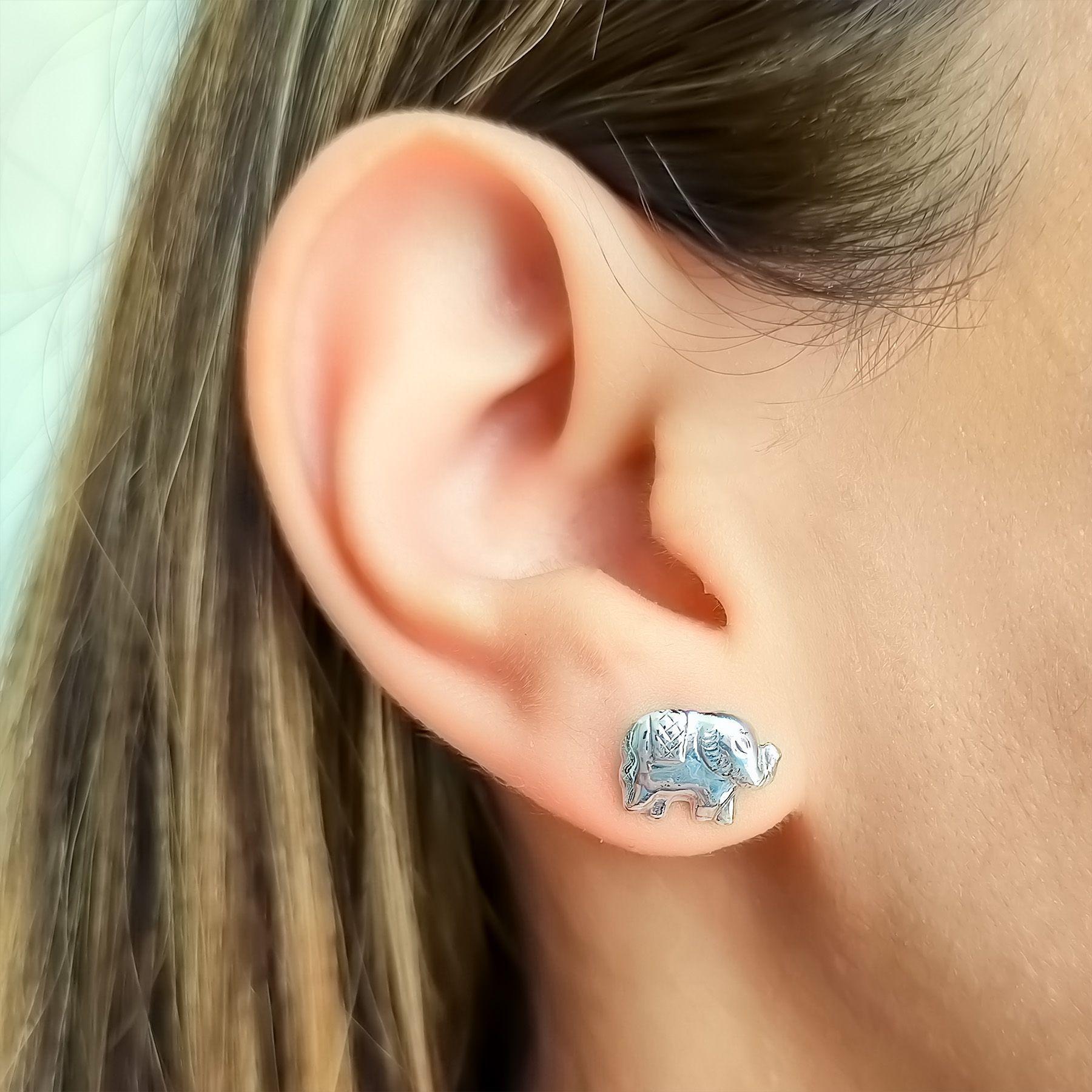 Aros Elefante Plata Fina 925-2
