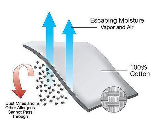 Cobertor Antiácaros Almohada 1,5 plaza.-2