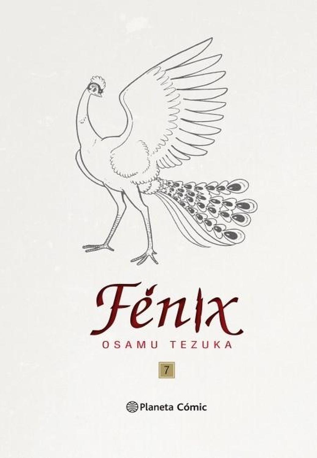 Manga Fénix 07 - España-0