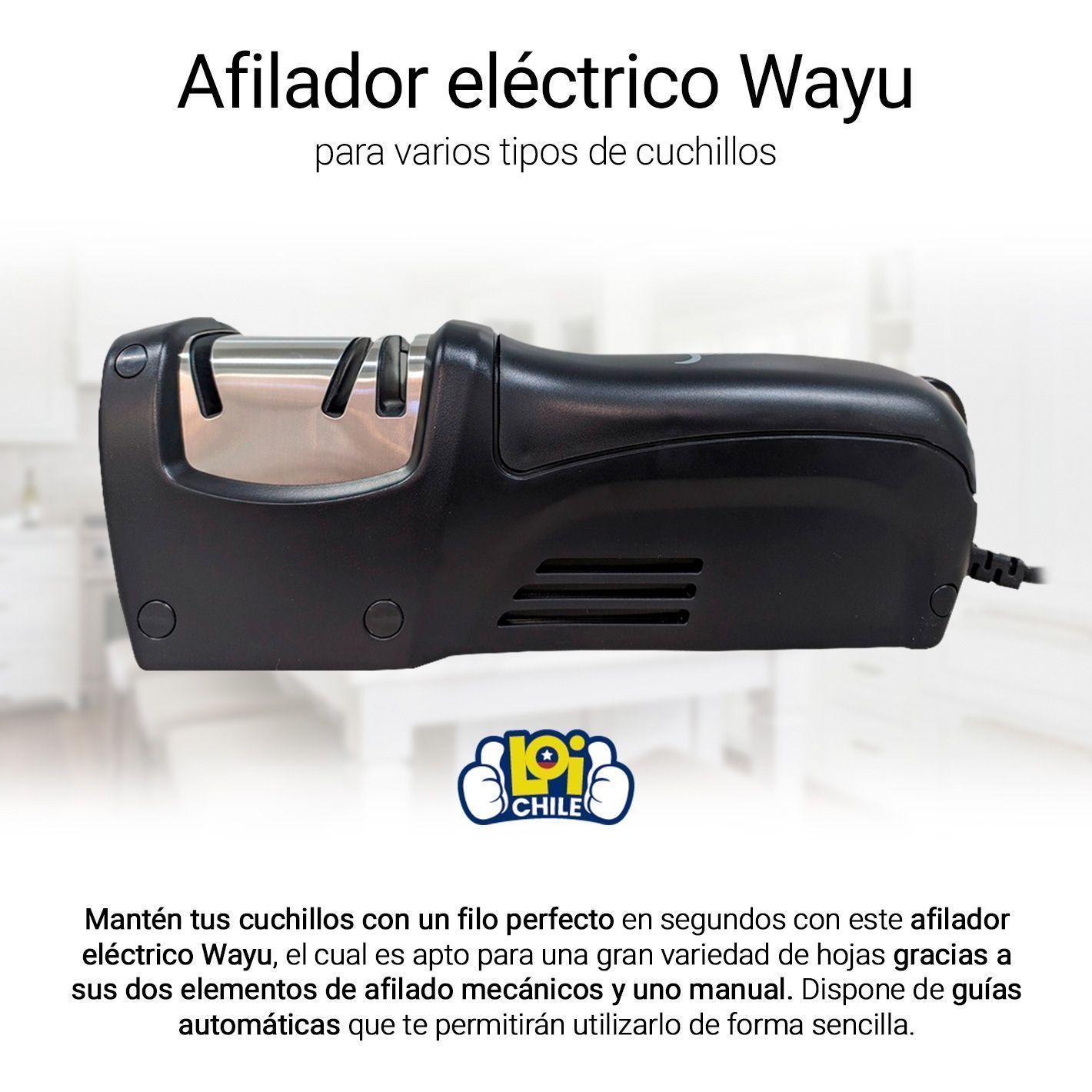 Afilador Eléctrico Wayu-1
