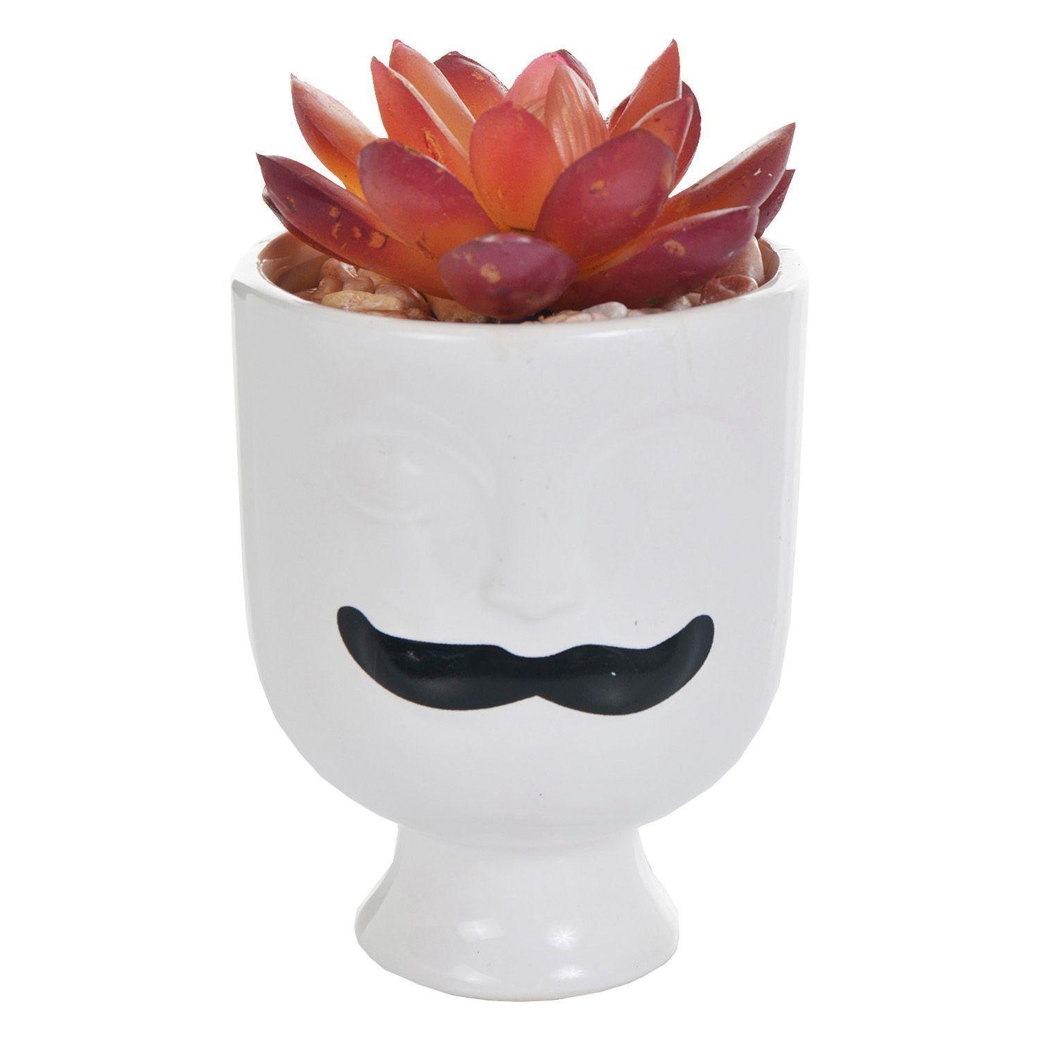 Suculenta Decorativa Antoine Roja-0