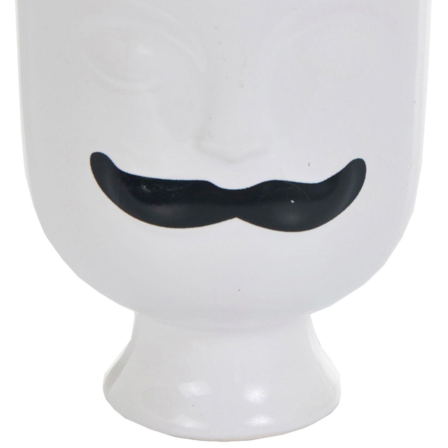 Suculenta Decorativa Antoine Roja-1