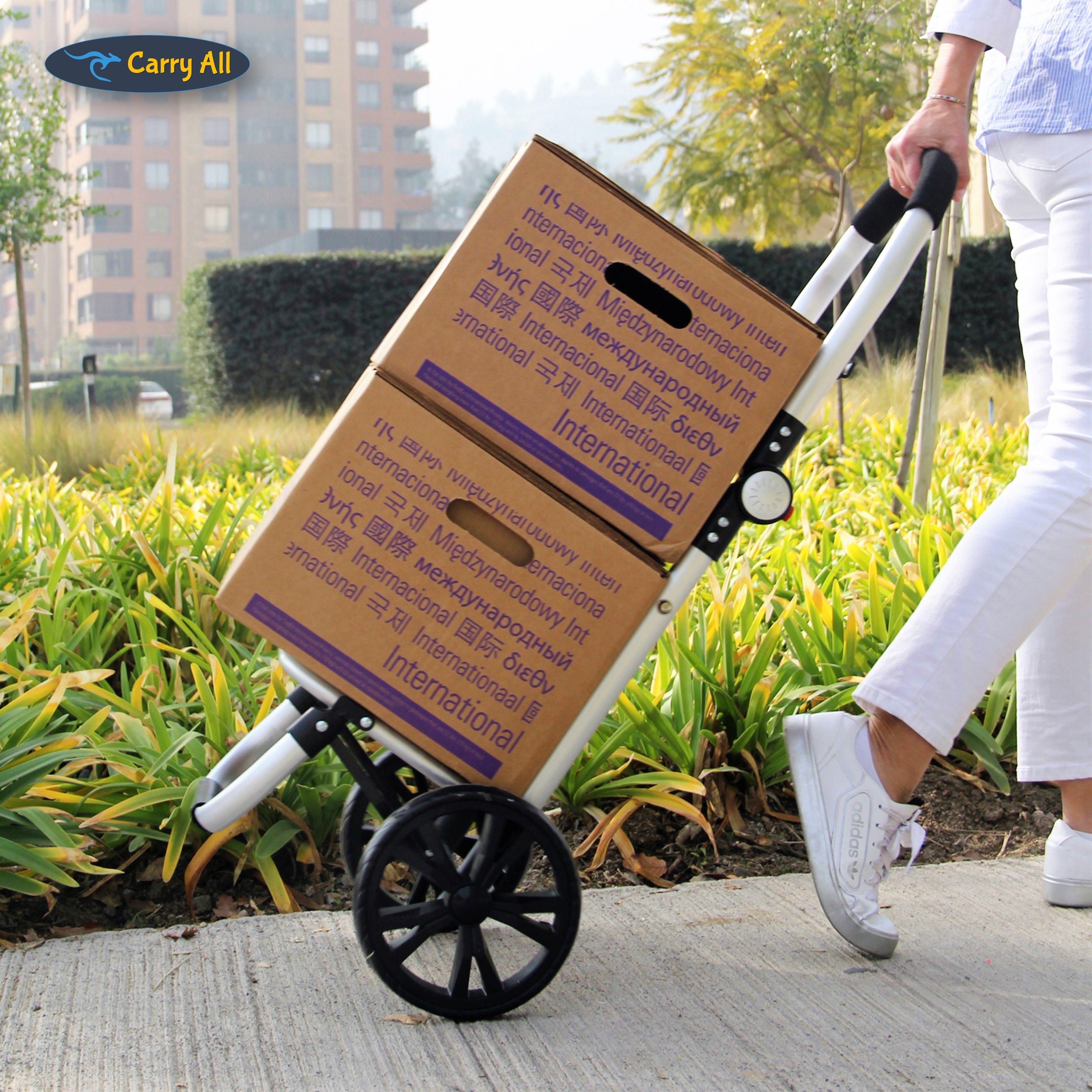 Carrito de Compras Plegable Sidney 50 Litros Supermercado o Feria Blue-7