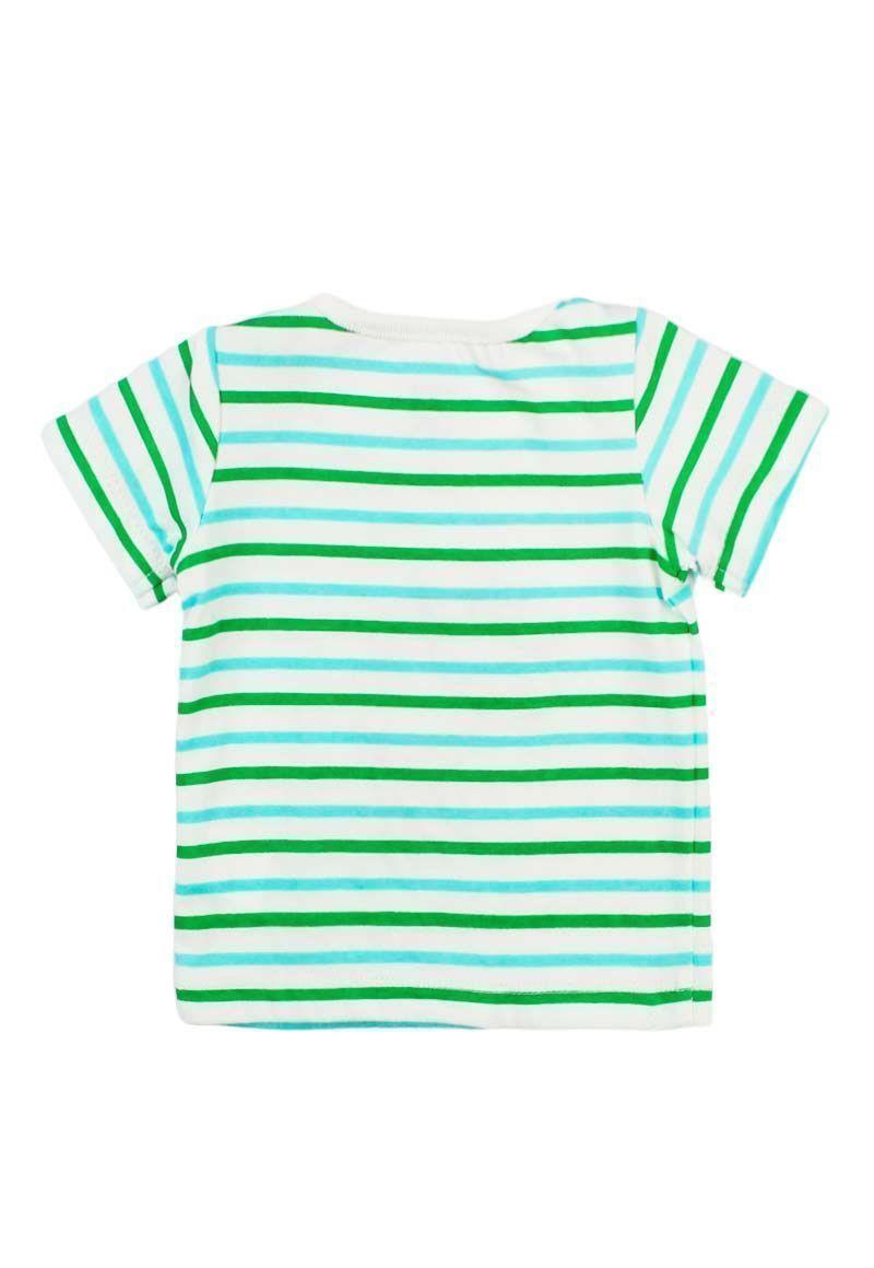 Polera Newborn Bo M/C Estampado Happy Dino Ficcus-1