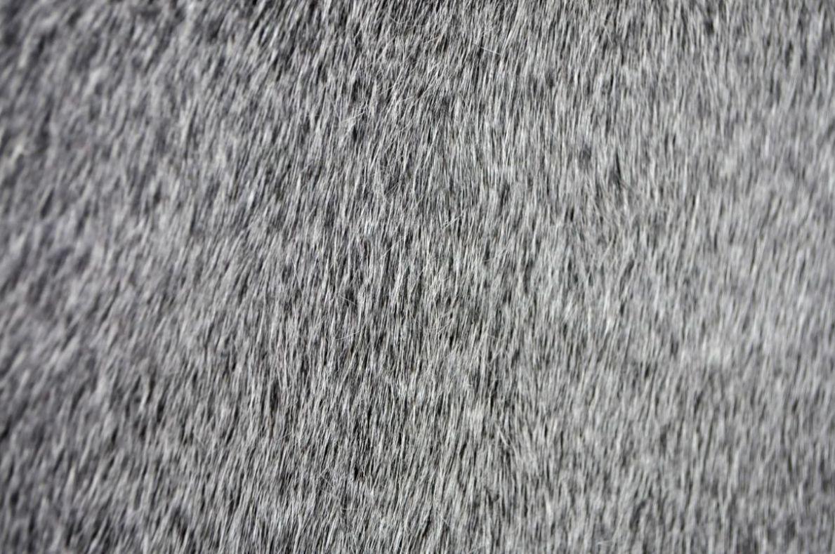 Patchwork Cuero Nir 121 190X290-2