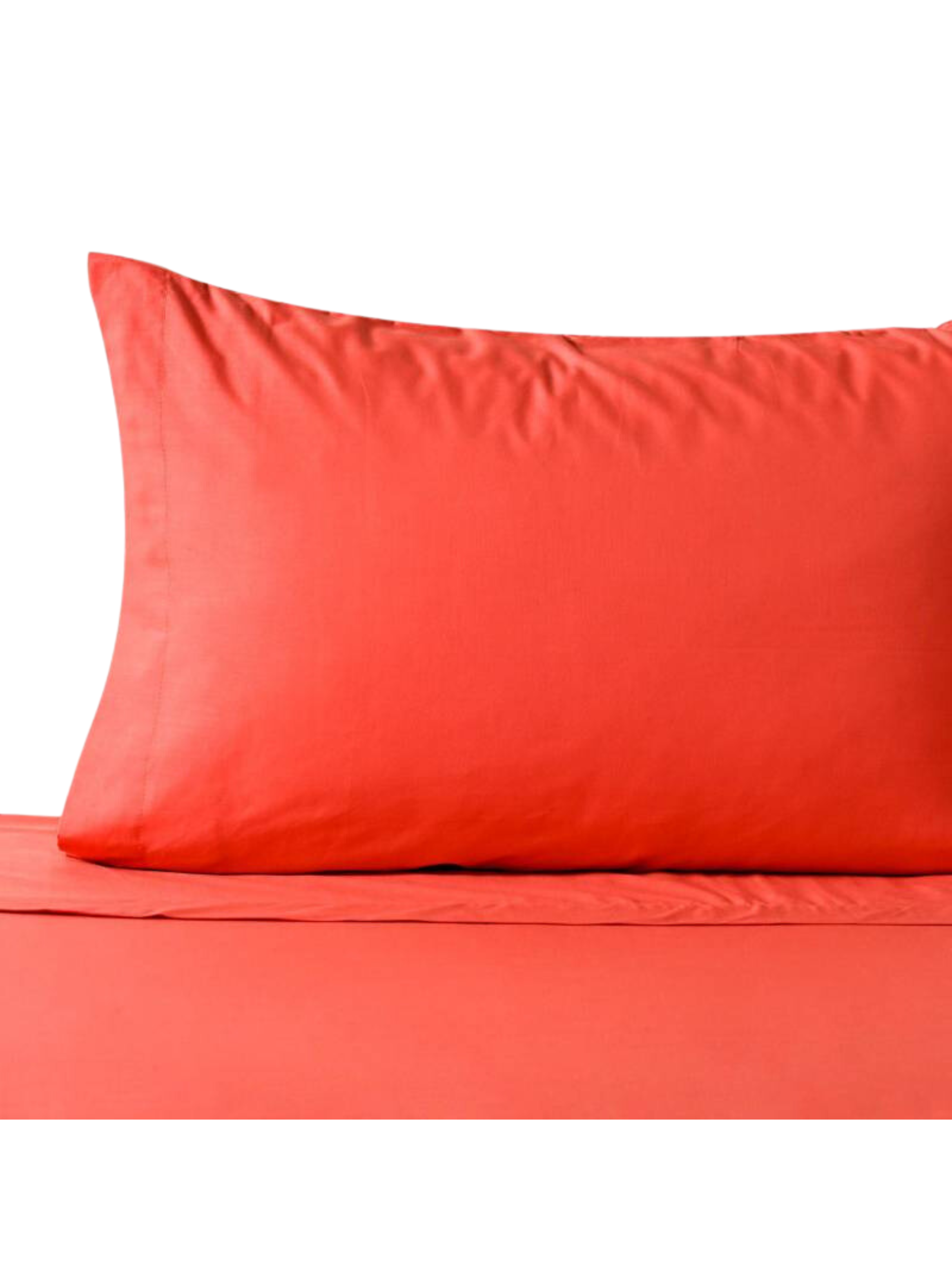 Sabanas Af Cannon 144 Hilos Plaza 1.5 Apricot-1