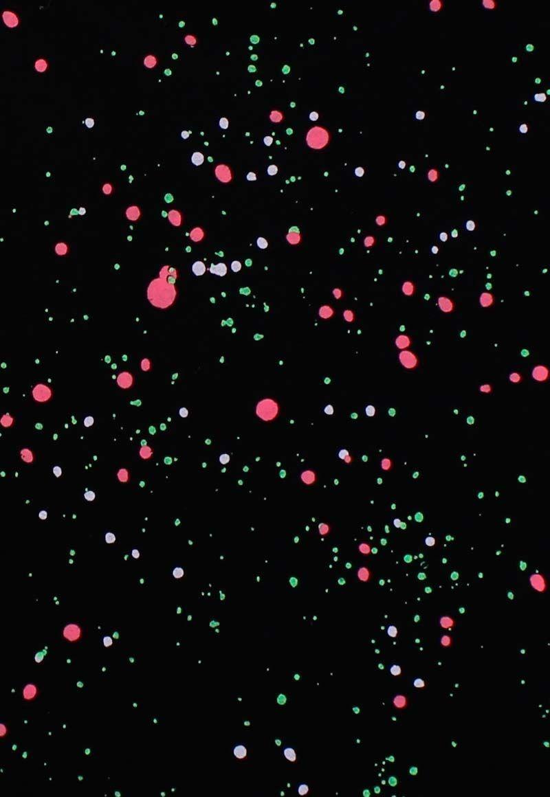 Polera Teens Niña M/C Estampado Game Scape Like It-2