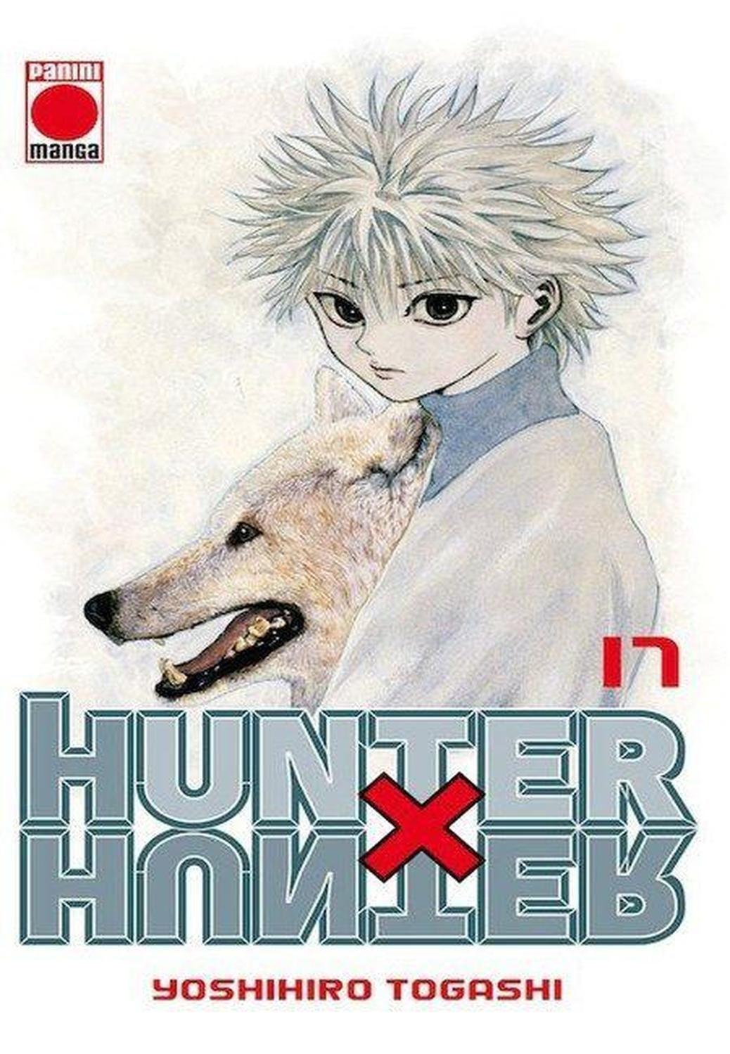 Manga Hunter x Hunter 17 - España-0
