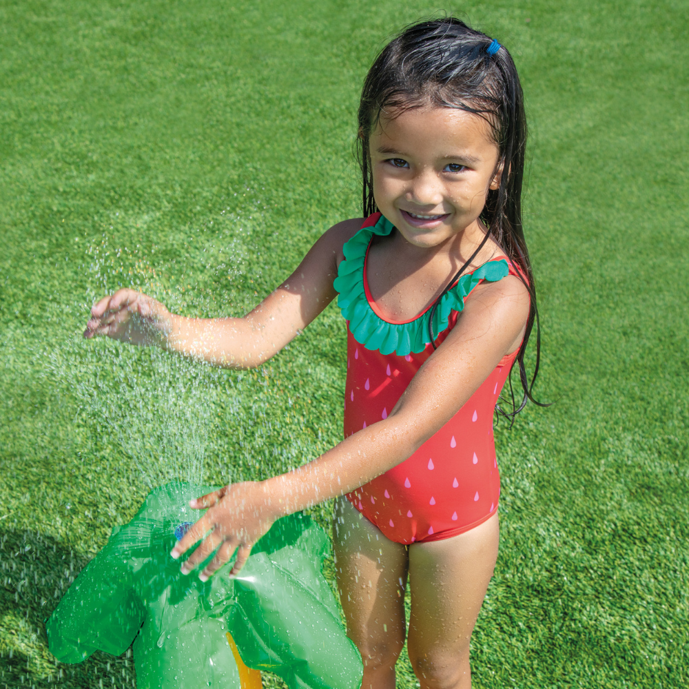 Centro de Actividad Inflable Little Dino-4