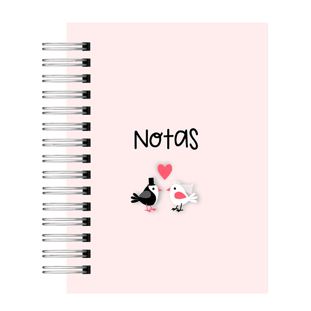 Diario de Novia-8