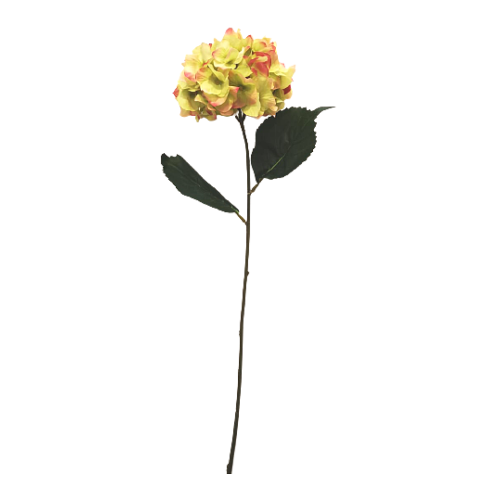 HORTENSIA VERDE MANZANA RED EDGED 78 CM-0