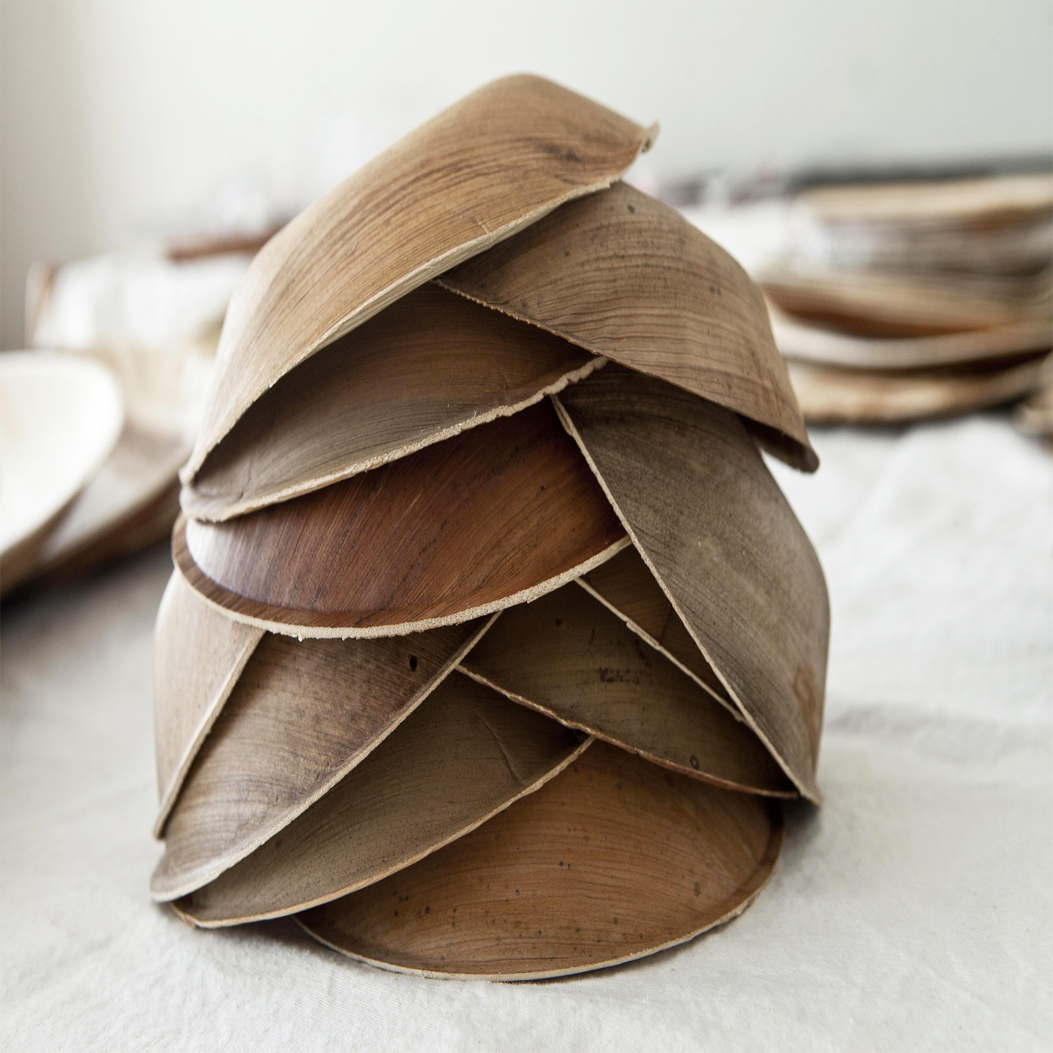 25 bowls Ecológicos de Hoja de Palma 100% compostables-3