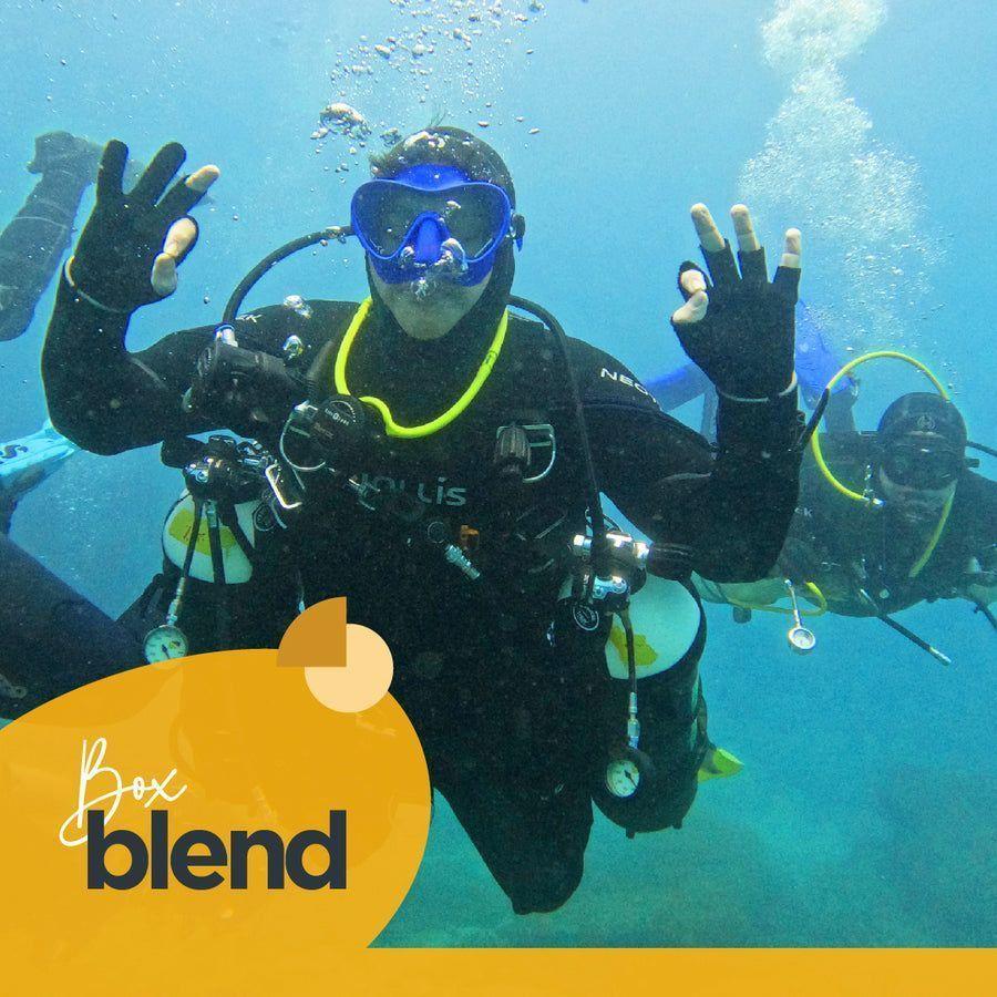 Experiencia Blend-4