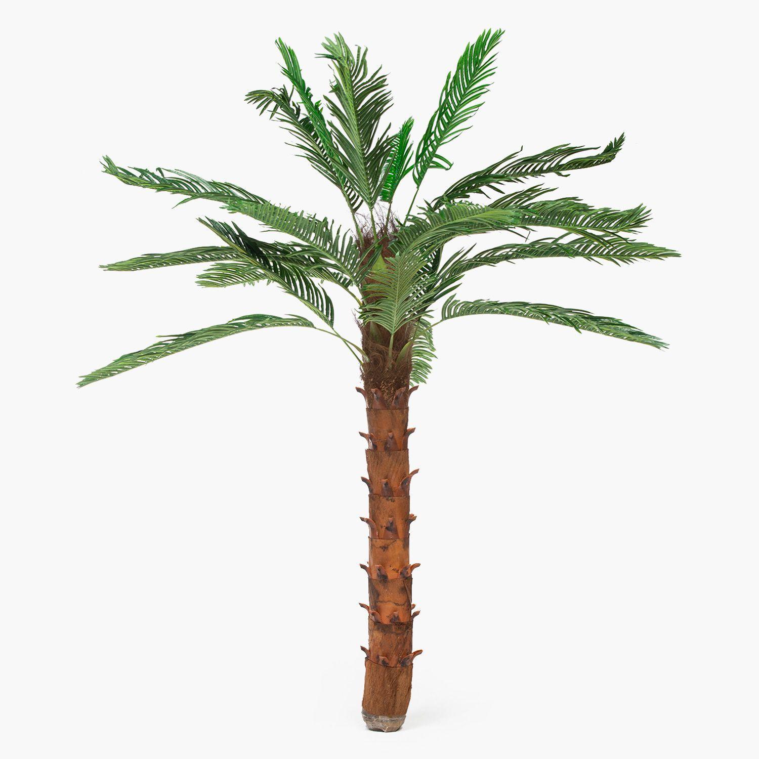 palmera Artificial 200 cm-0