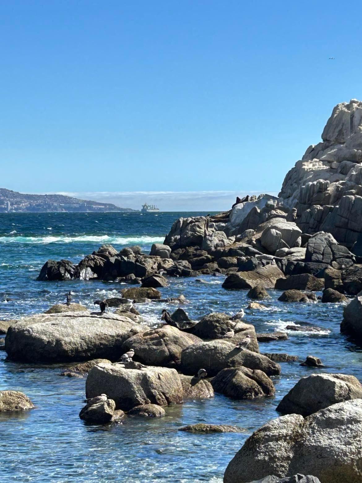 Paseo grupal ECOMAR pack 30 niños-0