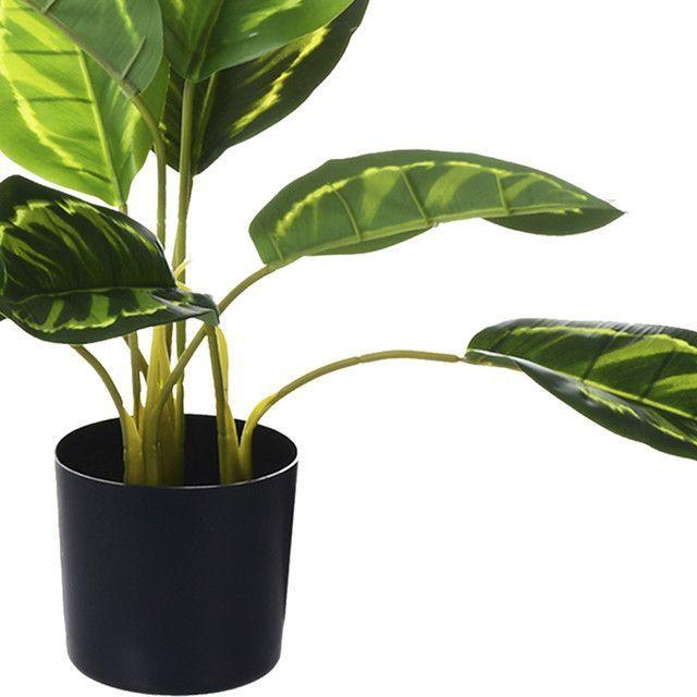 Planta Decorativa Artificial Dieffenbachia-1