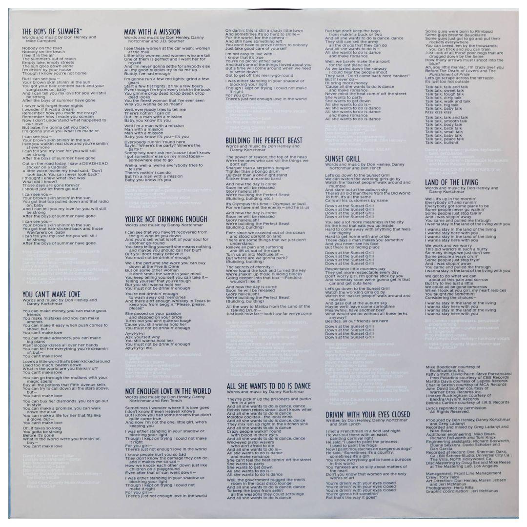 DON HENLEY - BUILDING THE PERFECT BEAST VINILO USADO-3