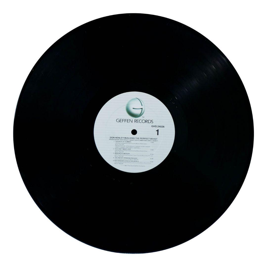 DON HENLEY - BUILDING THE PERFECT BEAST VINILO USADO-4