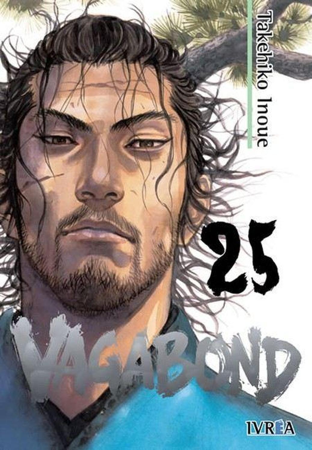 Manga Vagabond 25 - España-0