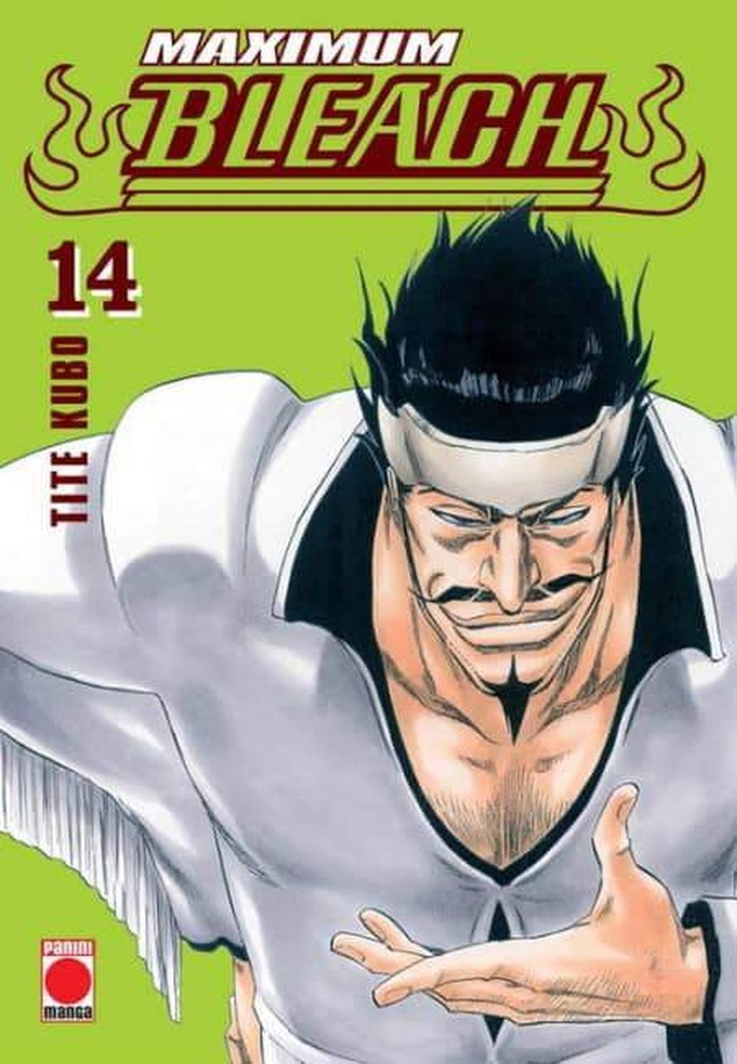 Manga Bleach - Maximum 14 - España-0