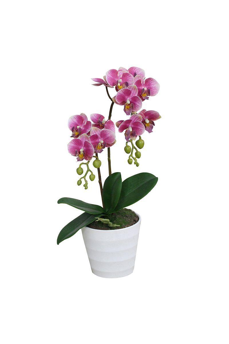 Planta Artificial Orquidea Rosa-0