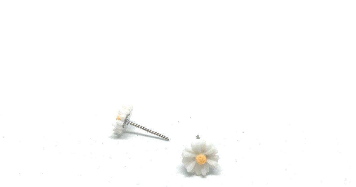 AROS LORAIN PLACEI-2