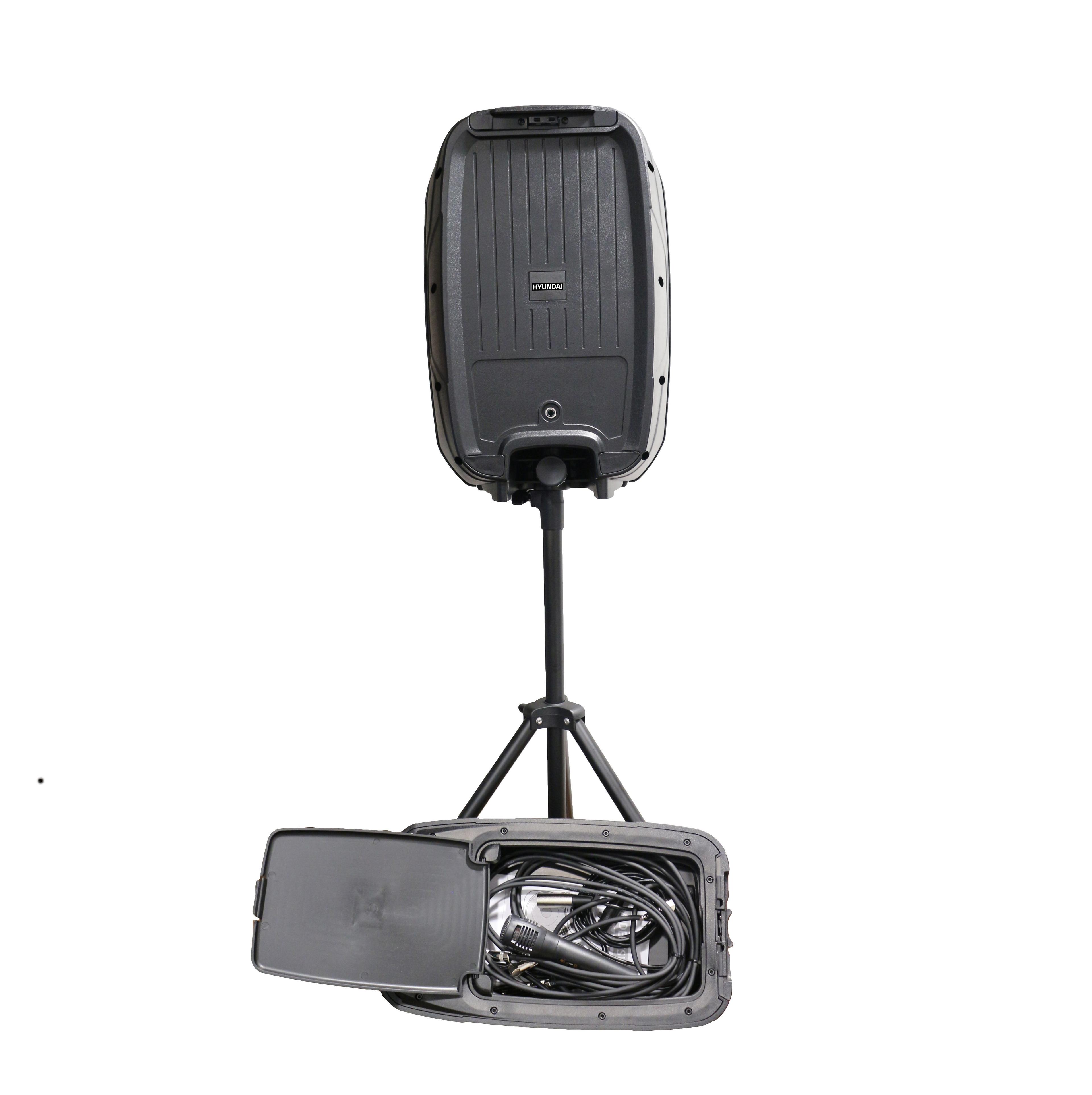 COMBO AUDIO 2X10 200W+ATRILES+MIC -2