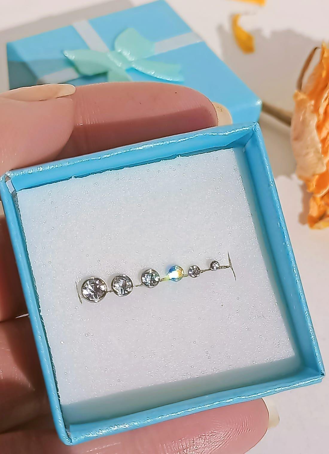 Set De 6 Piercing Nostril Punto De Luz Tipo S Plateado Punk-1