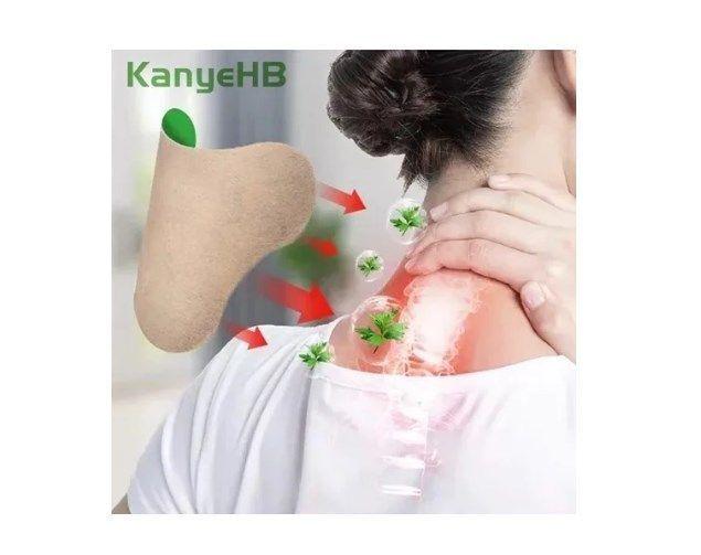 Pack 10 Parches Aliviar Calmar Dolor Espalda Muscular Hierba-3