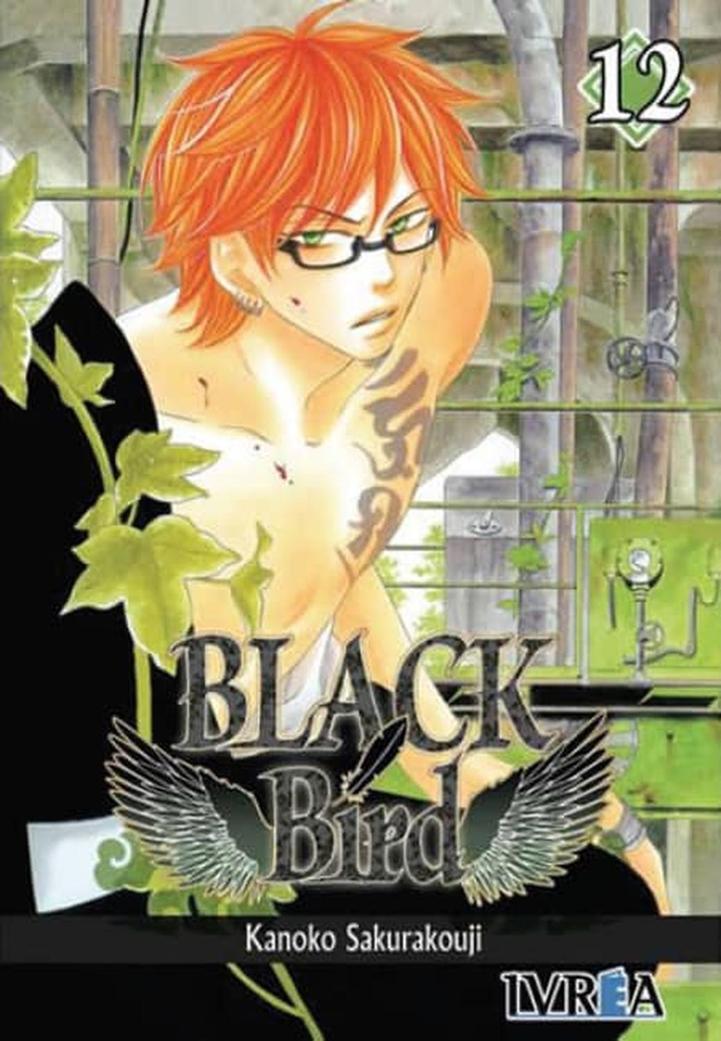 Manga Black Bird 12 - España-0
