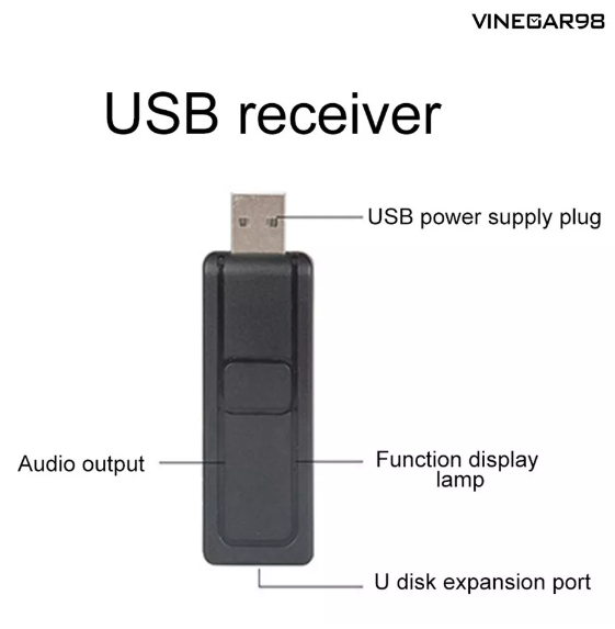 Micrófono Karaoke Inalámbrico  Usb-6