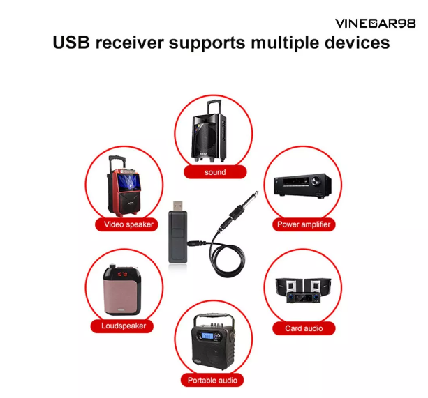 Micrófono Karaoke Inalámbrico  Usb-2