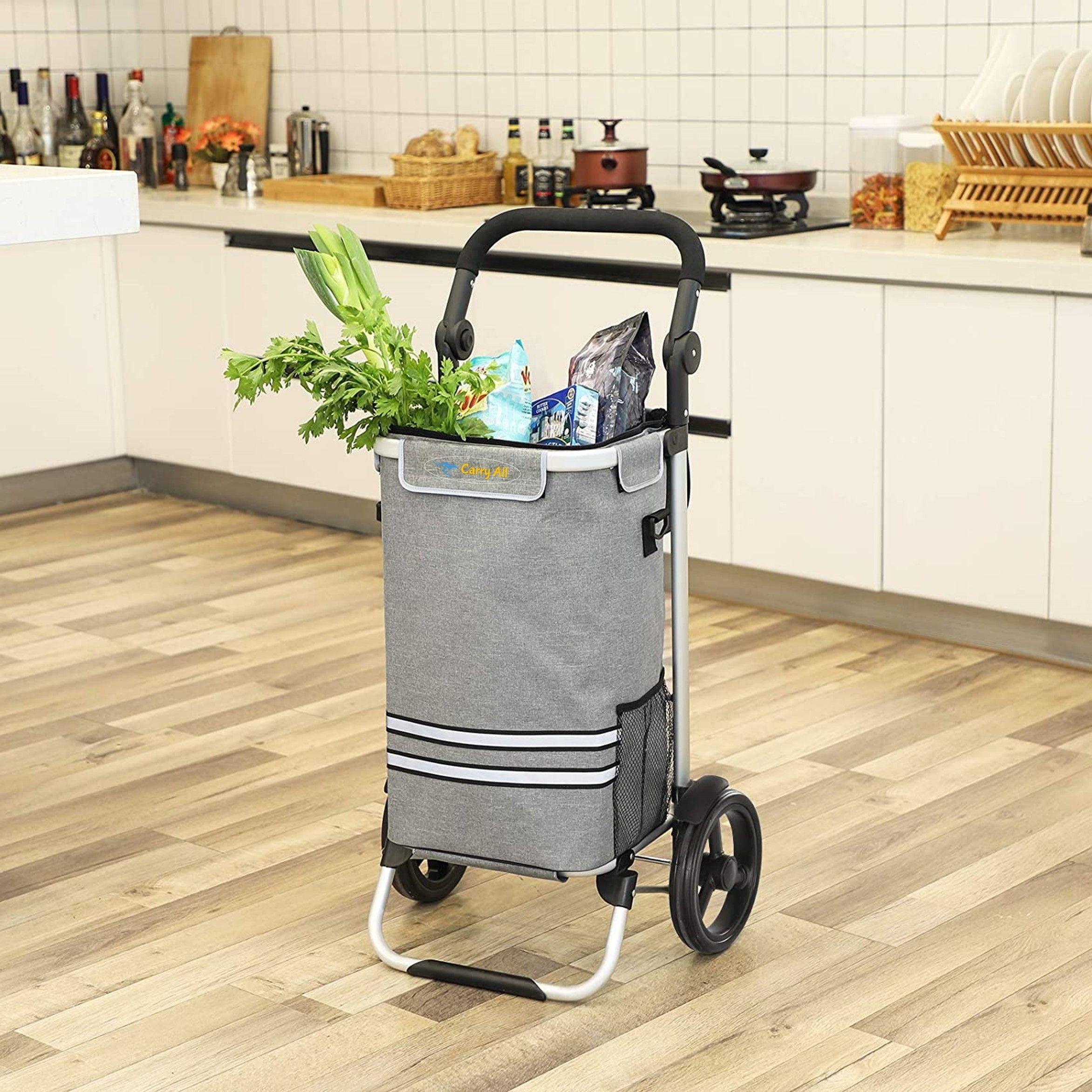 Carrito de Compras Plegable Supermercado o Feria + Bolso Cooler Gray-2