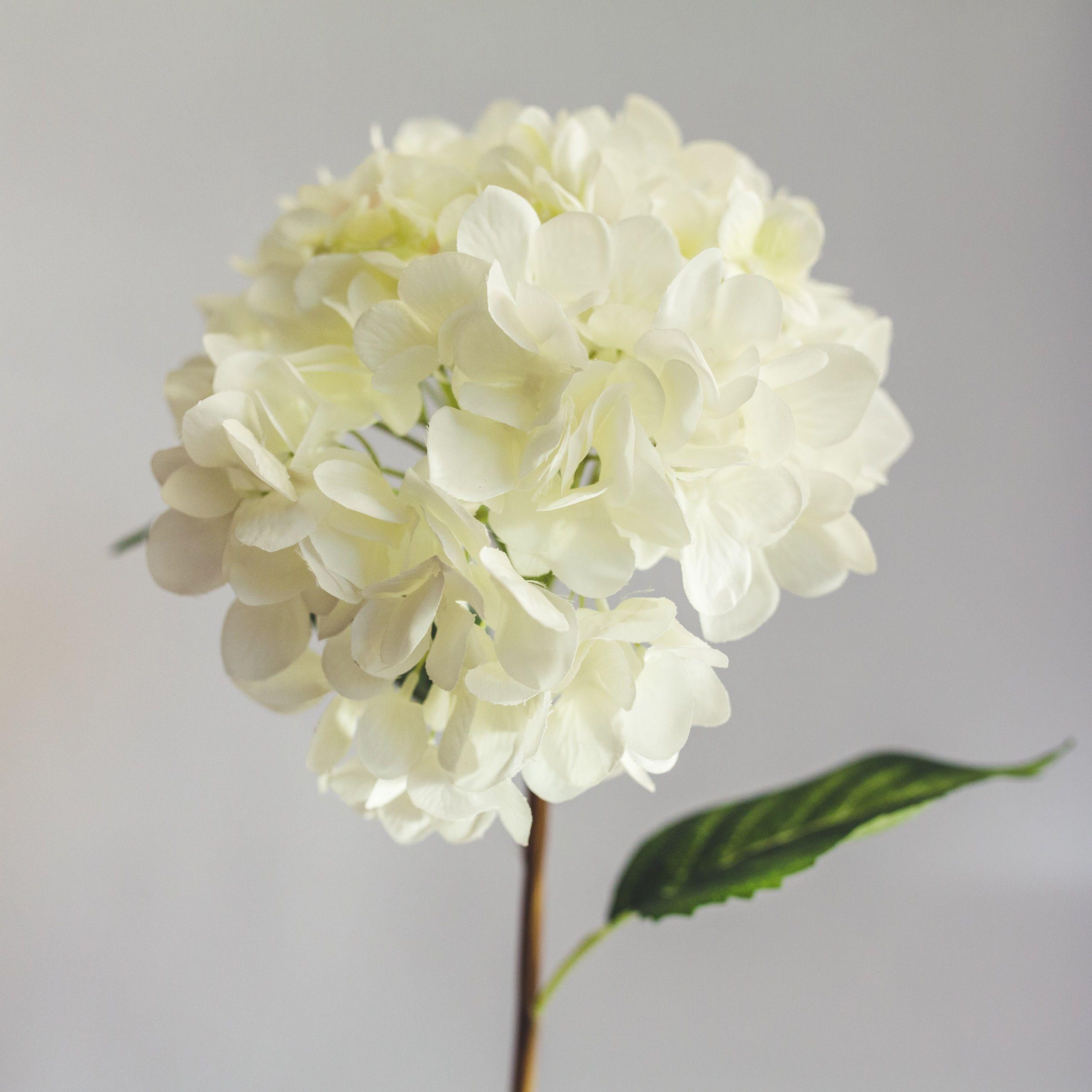 Hortensia Blanca Flor Artificial by Le Bouquet 66 cm-2