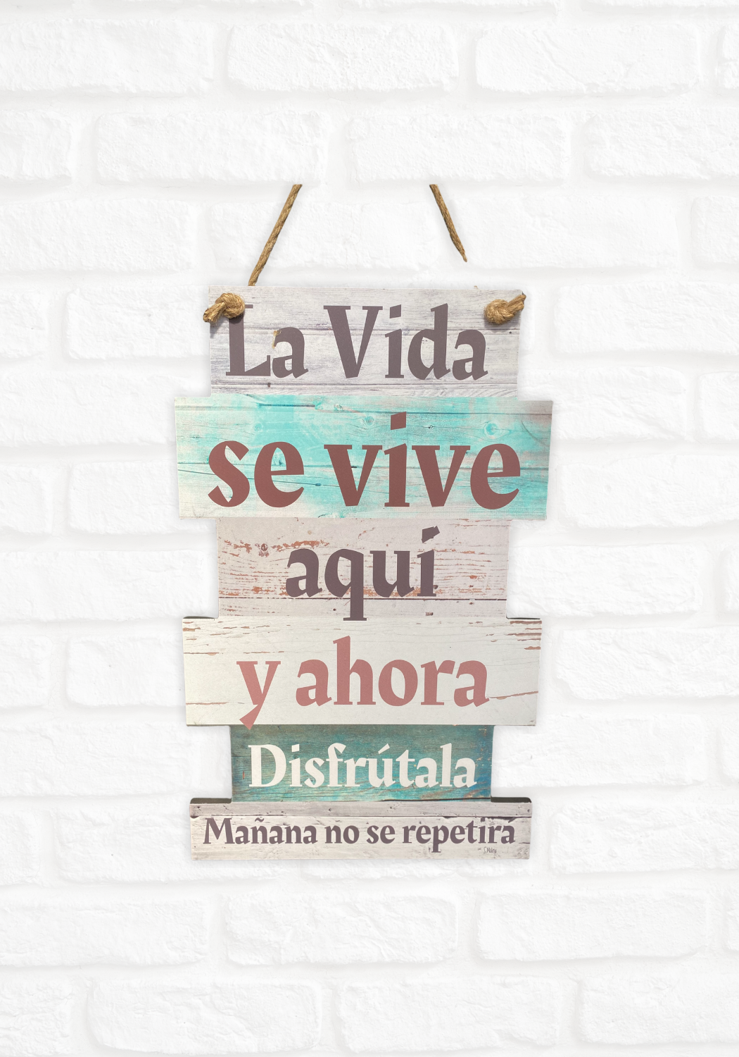 CUADRO DE MADERA "LA VIDA SE VIVE"-2