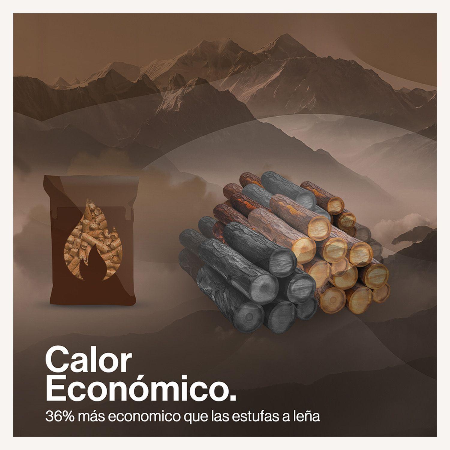 Estufa Pellet 9,5 KW 160 m2 WiFi-6