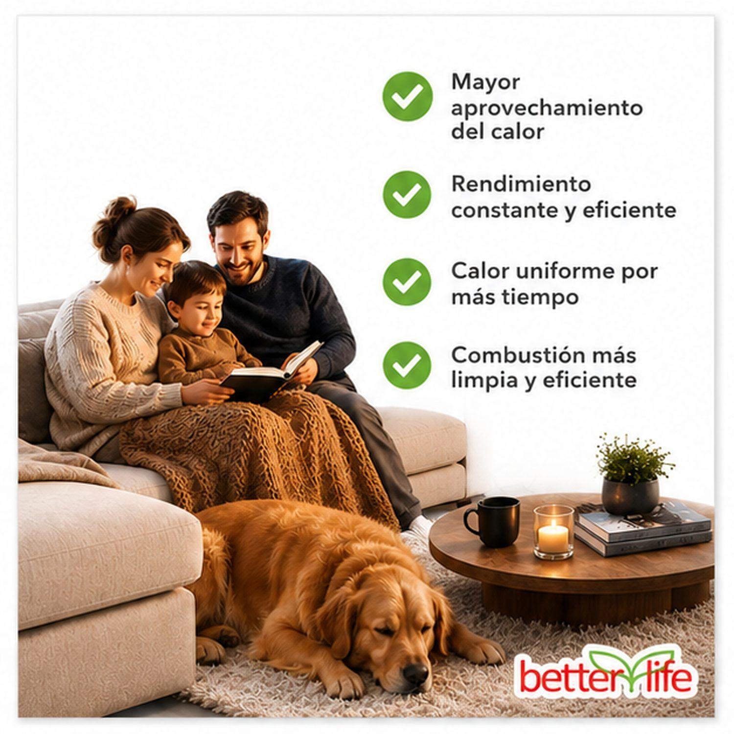 Caldera a Pellet Betterlife BLPCWH2500W-1
