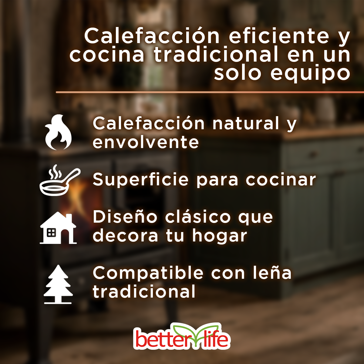 Cocina a leña Betterlife BLWCK9-3