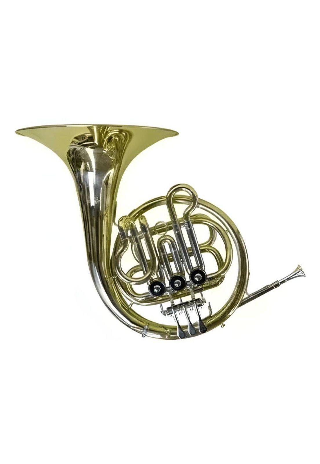 Corno Francés Color Dorado Con Estuche PA-H1E2-2