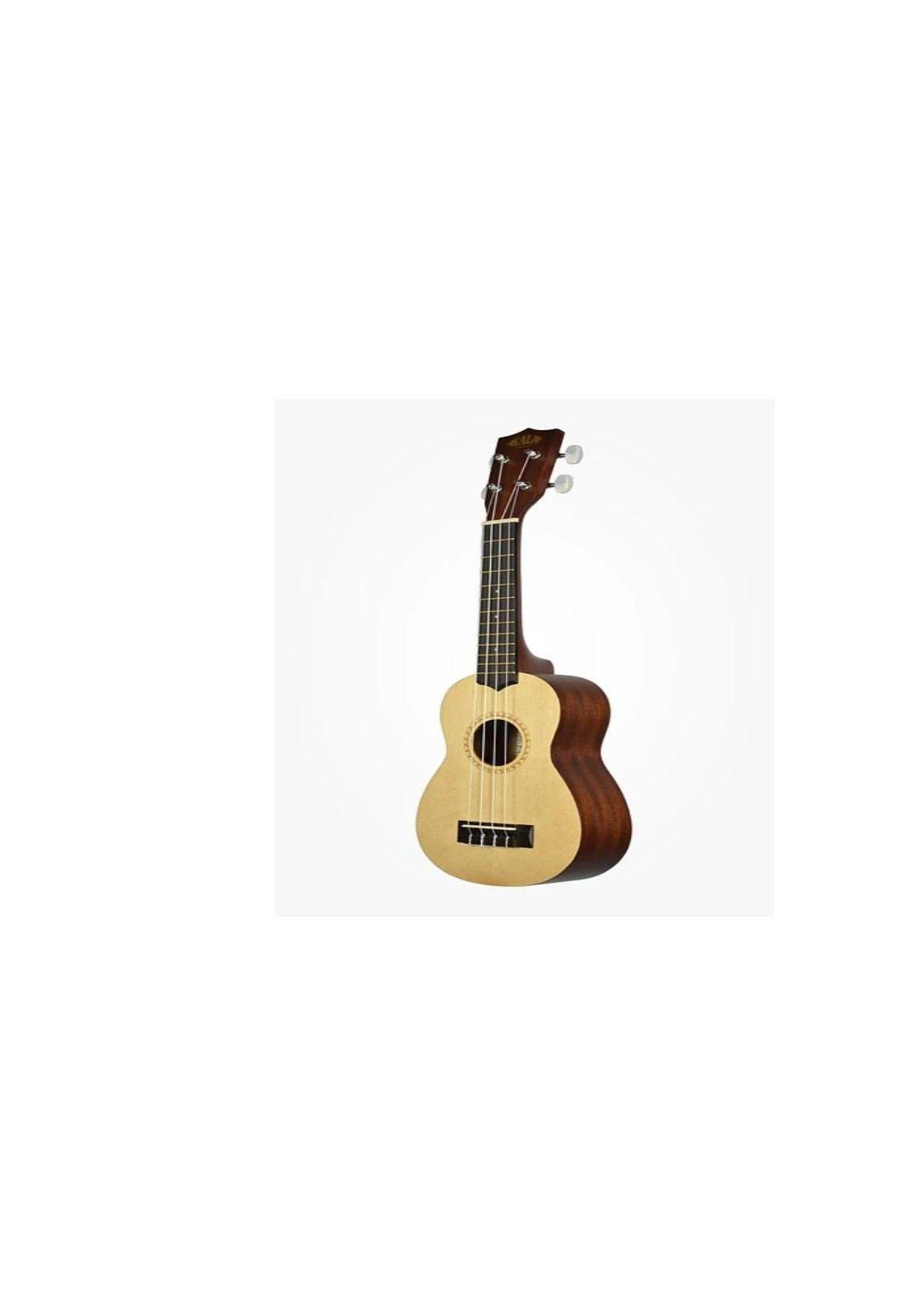UKELELE Mint 24 pulg natural PA-G2-E1-0