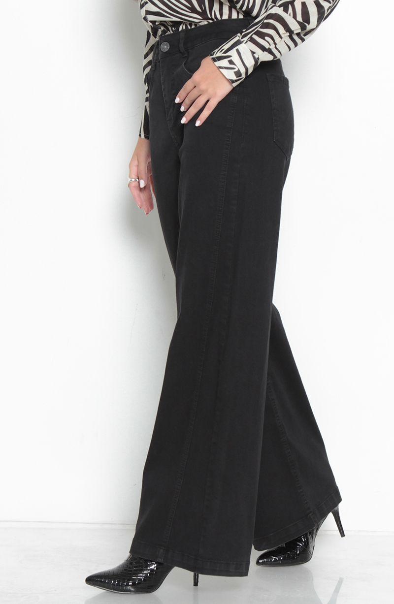 Jeans Pierna Wide Tiro Alto Pretina Basica Un Boton-2